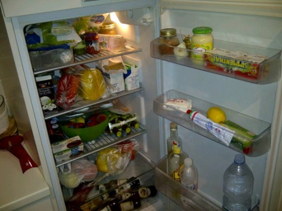 frigo